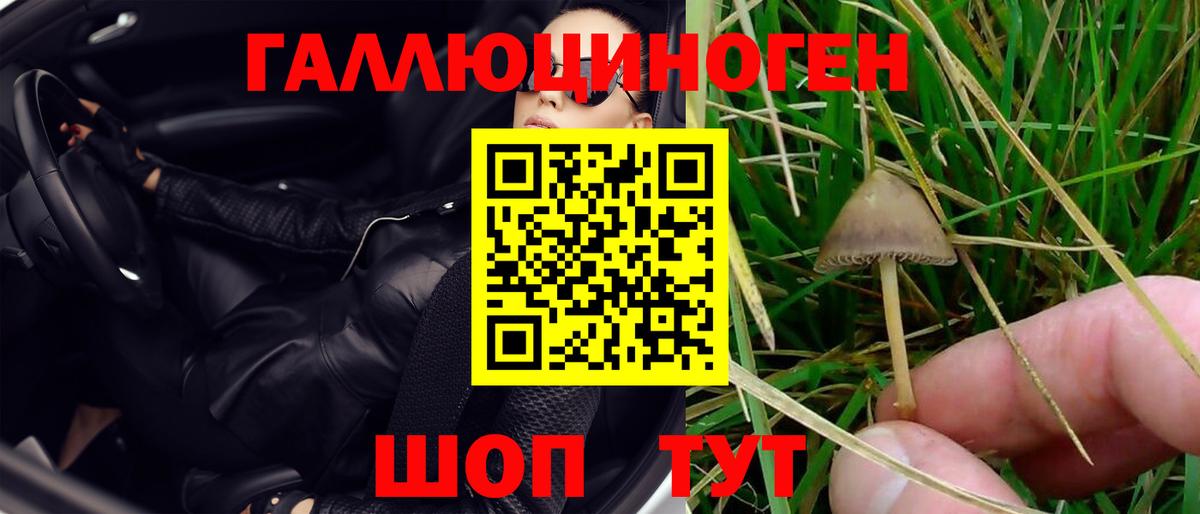 Ростов Великий  Галлюциногенные грибы Cubensis  Вход с VPN 